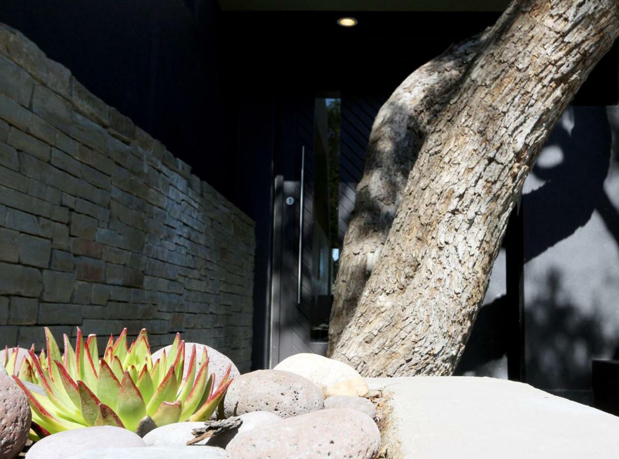 Herzinger Boutique Guesthouse Klein Windhoek エクステリア 写真
